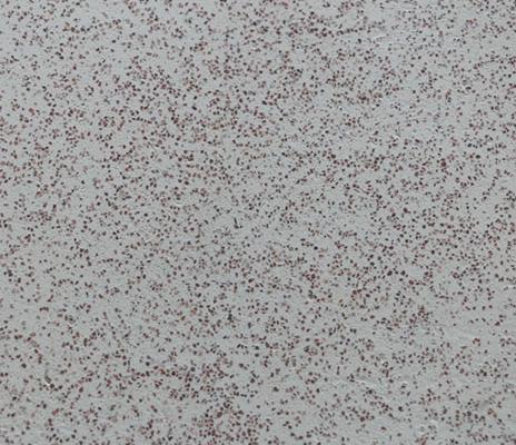 藝術(shù)涂料施工