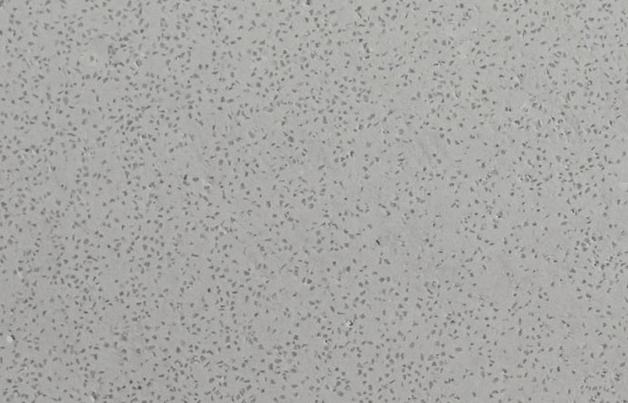 藝術(shù)漆施工