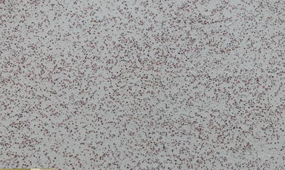 藝術(shù)涂料色彩